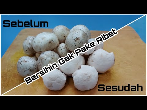 Cara Membersihkan Jamur Baby Champignon