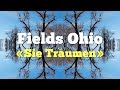 Fields Ohio - Sie Träumen (music video)