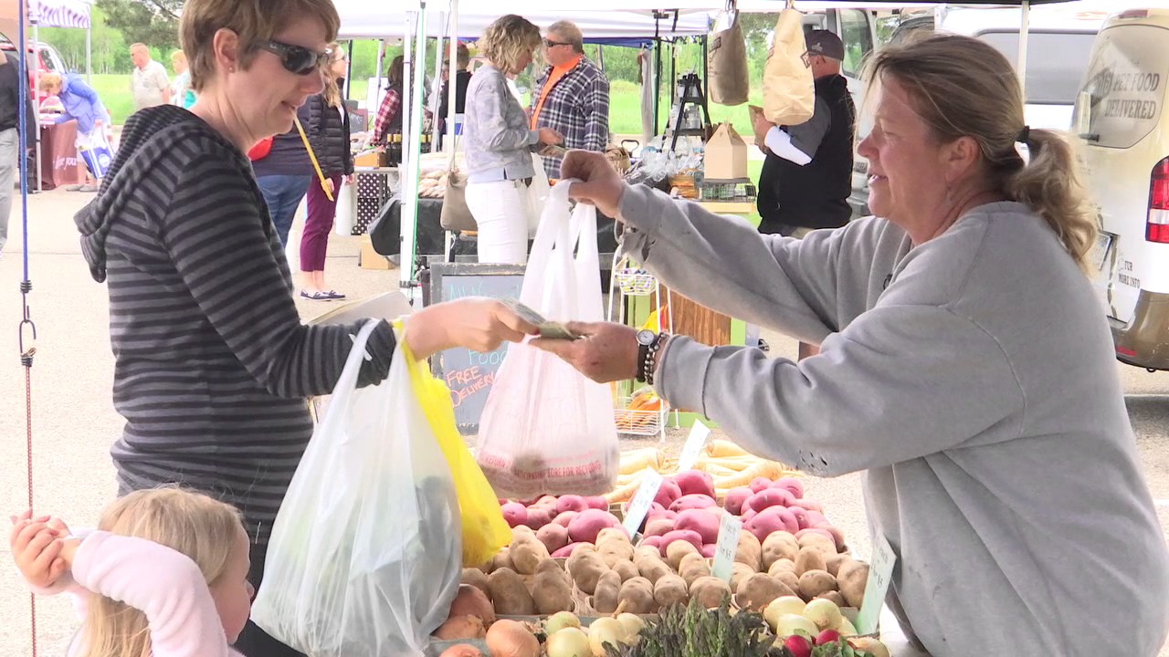 Blaine Farmer's Market YouTube