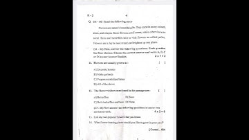 Class 6th paper english (third language) sammative assessment-1 October 2024