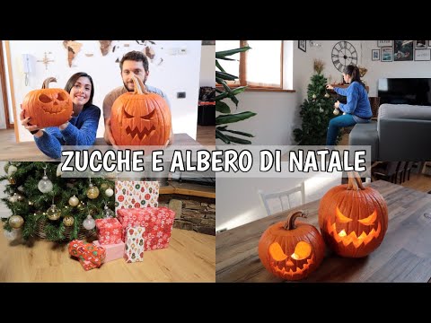 Video: Decoriamo L'albero Di Natale. Che Stile Preferisci?