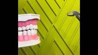     The Story of Poor Mr. Teeth 🦷 | Are You Brushing Correctly?