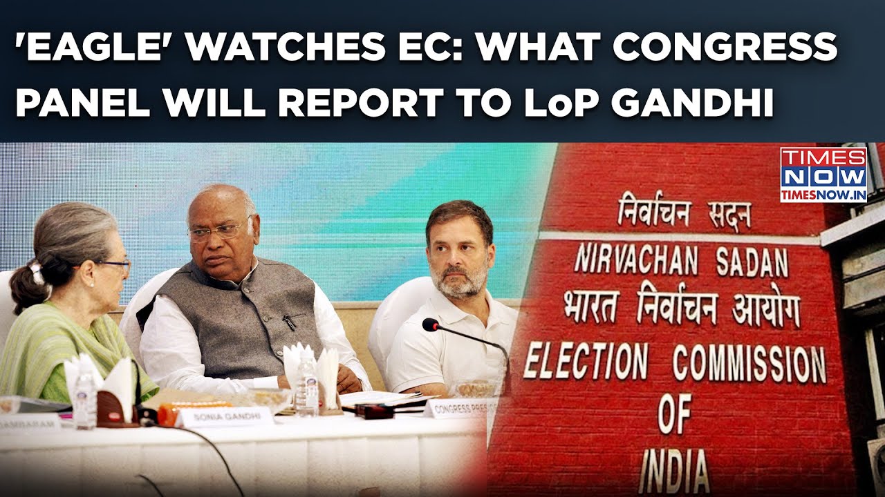Congress 'EAGLE' To Watch EC: Rahul Gandhi To Get The Report| Why Panel Set Up Before Delhi Election