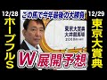 【ホープフルS2023＆東京大賞典2023】田原成貴が展開予想　今年最後の大勝負！ダブルGⅠを完全解説《東スポ競馬ニュース》