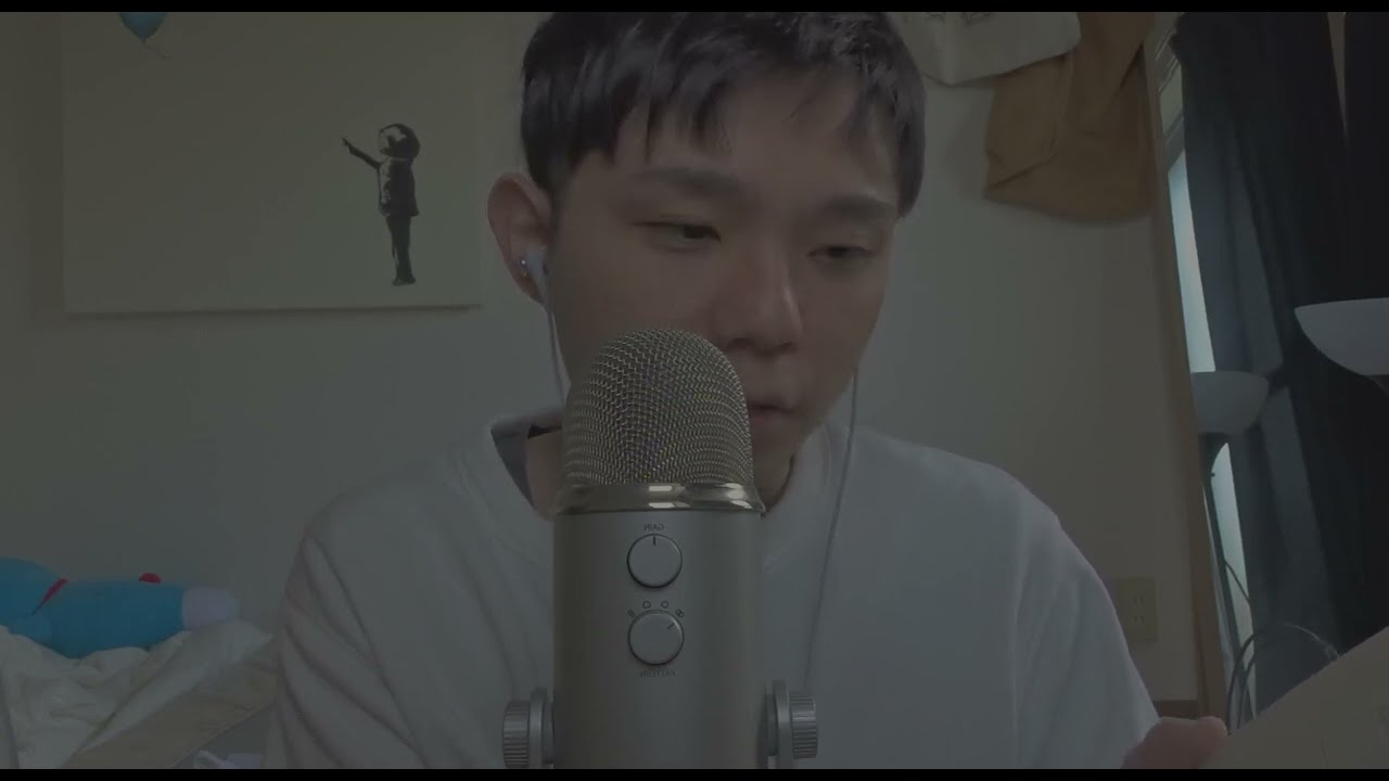 ASMR 囁き声 木のさかな🐟