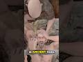 Crazy Facts You Won’t Believe: Human Body, Ancient Dentistry & War Survival Stories#shortvideo