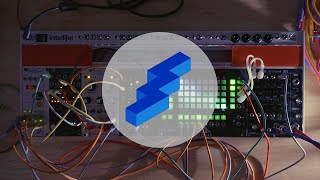 first zoia euroburo ambient patch