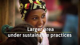 Ethiopia Netherlands Seed Partnership