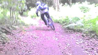 Run Down From The Tracks To The Cars