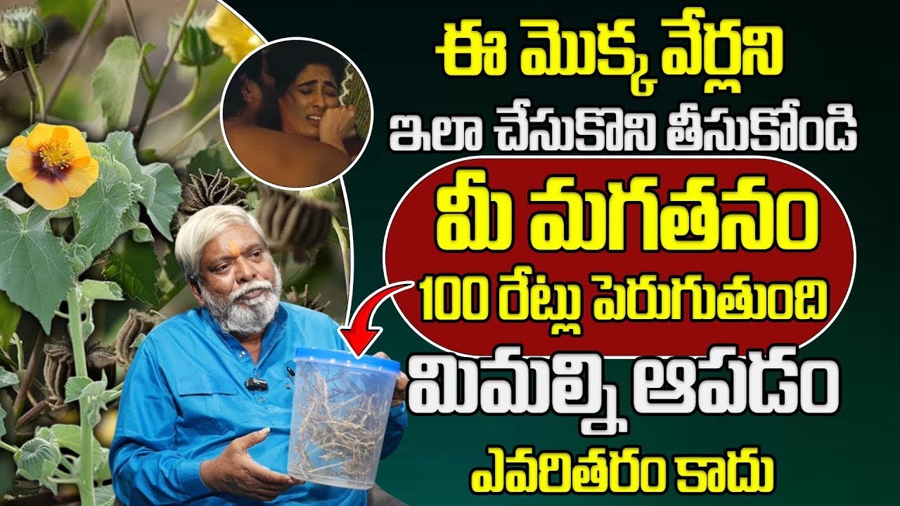 మగవాళ్ళల్లో స్టామినా రెట్టింపు చేసే పవర్ ఫుల్ చిట్కా. | Atibala Health Benefits | Dr.Pandit Srinivas
