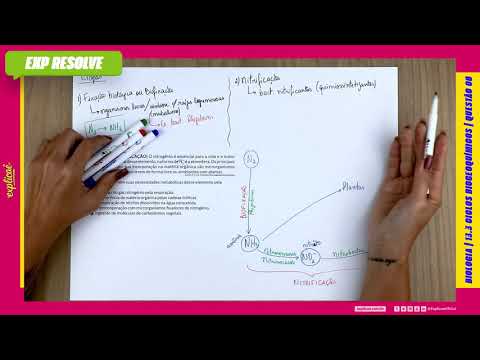 Vídeo: O que é um grande reservatório de nitrogênio utilizável pela maioria dos organismos?