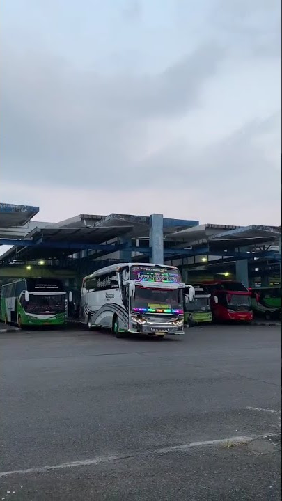 story wa bus keren terbaru 30detik*#Purnayasa keren *#kamikaze 👍