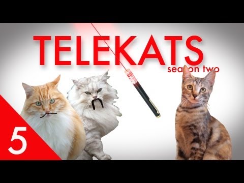 Telekats Season 2, Episode 5 - "Business Proposal"