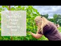 Canning Dill Pickles| Garden to Table| Pine Knot Family Farm Vlog