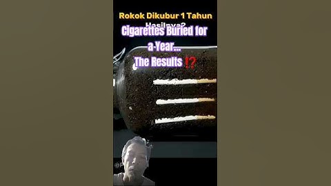 mengubur rokok 1 tahun #berkebun #faktamenarik #faktaunik #timelapse #pertanian #rokok #tembakau