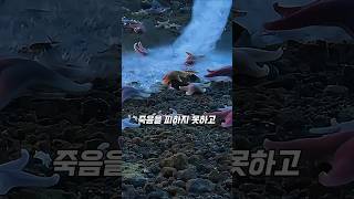 바닷속 고드름에 산채로 얼어죽는 이유