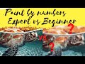 Paint by numbers - Expert vs Beginner - DOES SKILL MATTER?