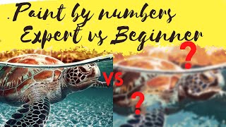 Paint by numbers - Expert vs Beginner - DOES SKILL MATTER?