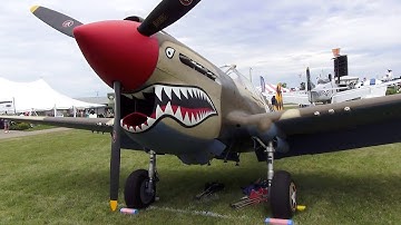 Curtiss P-40E Warhawk | N4420K | Walk Around
