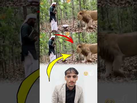 من عاش بالقرآن عاش في كنف الله فكيف تضره وحوش لا تملك إلا ما أذن به الله لايك اكسبلور 