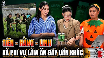 VẠCH TRẦN VIỆC LÀM ĂN DỐI TRÁ CỦA QUANG LINH-HẰNG DU MỤC VÀ VAI TRÒ CỦA THÙY TIÊN