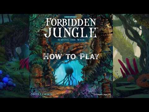 How to Play: Forbidden Jungle