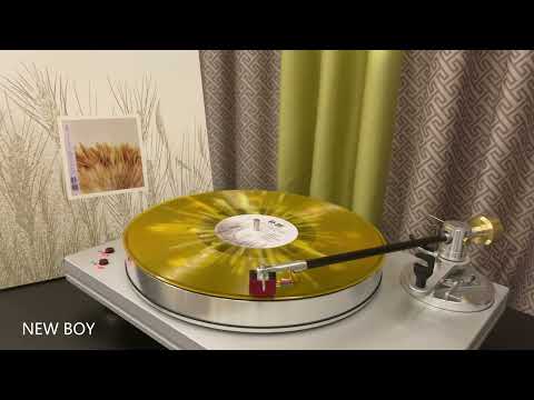 Vinyl/黑胶试听 | NEW BOY - 朴树 | 我去2000年