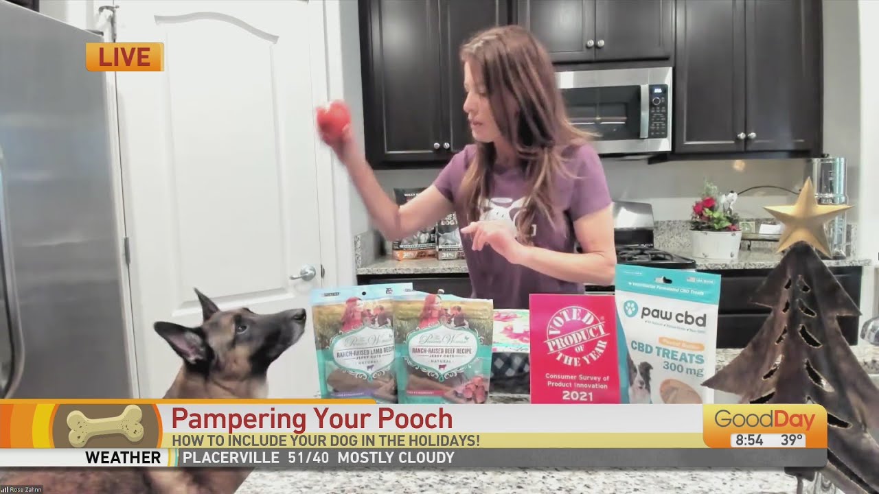Gifts To Pamper Your Pooch!