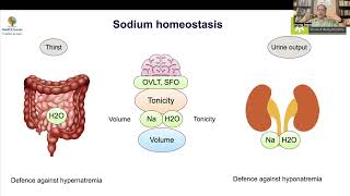 MedEClasses PG Lecture Series Hypernatremia Pathophysiology