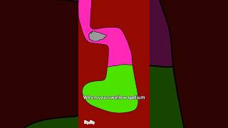 What If You Swallow Gallium   shorts