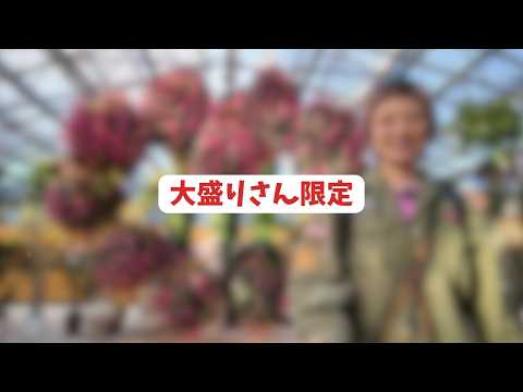 【大盛りさん限定】お花の前でMONSTERー!!!