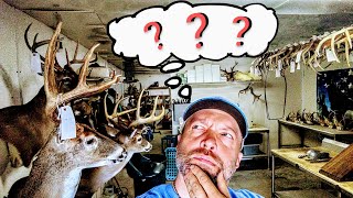 BEGINNERS: What do you REALLY need to open a taxidermy shop? ***SUPER EASY*** WHITETAIL TAXIDERMY!