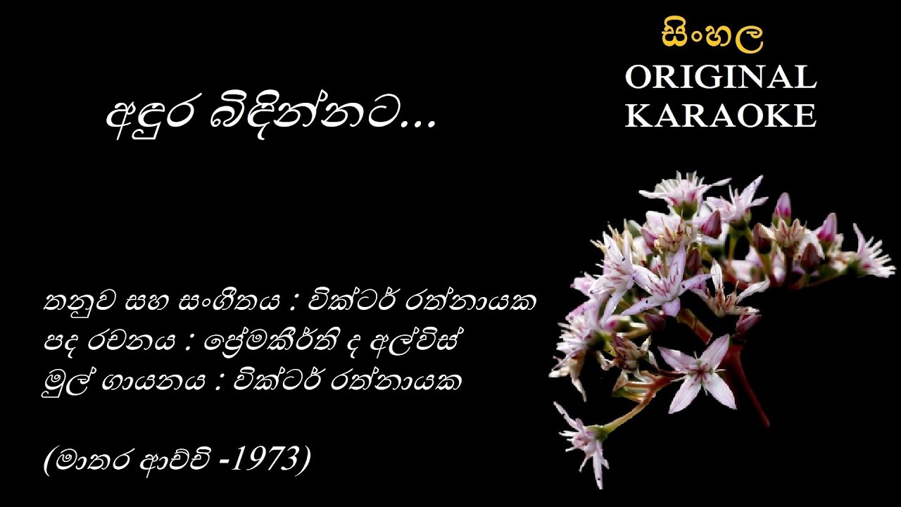 Andura Bindinnata - අඳුර බිඳින්නට - KARAOKE - Victor Rathnayaka - Premakeerthi De Alwis