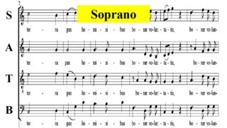 Mozart KV167- 2 Gloria -Missa in honorem Sanctissimae Trinitatis- Soprano