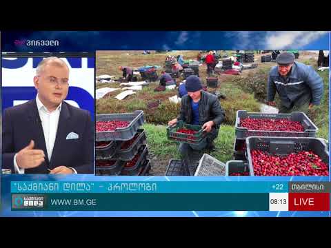 რომელი ქვეყნებია ეკონომიკის შემცირების რეკორდსმენები?