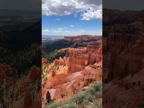 قشنگ بود نبود