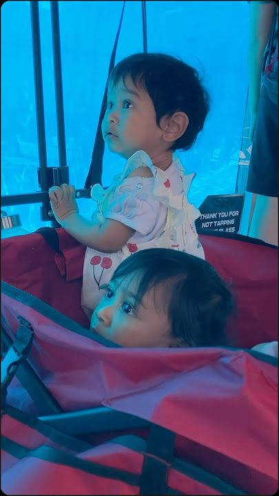 Whale Watching at SeaWorld - my baby’s California summer escapade #shorts #funny #whale #trending