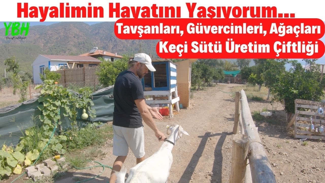 Hayal Hayatımı Yaşıyorum! Müstakil Evi, Keçileri, Güvercinleri | Keçi Çiftliğini Büyütmeyi Planlıyor