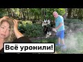 Пришли шайтаны… Рыдаю