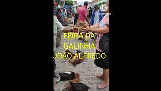 FEIRA DA GALINHA em João Alfredo Pernambuco.#videoshorts #shortsfeed #shortsviral