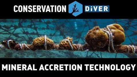 Introduction to Mineral Accretion Technology
