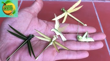 Cách Làm Con Chuồn Chuồn Siêu Bé - Sáng Tạo Từ Lá Dừa