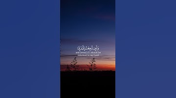(لا يسأم الإنسان من دعاء الخير…) سورة فصلت - ماهر المعيقلي🌿❤️ #ماهر_المعيقلي #قران_كريم #quran