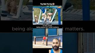 simple happiness try not to cry 😭😭 #viral #animals #video #trending #shorts #emotional #animallife