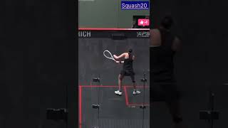 Squash match best 👉#shorts #video #sports #tennis #viralvideo #youtubeshorts #athlete #shortsfeed 🔥😱