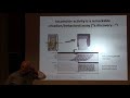 Circadian Rhythms:  Past, Present and Future - Michael Rosbash