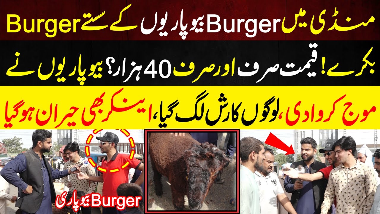 burger-bewpariyon-kay-burger-bakray-qemat-sirf-40-hazar-lahore