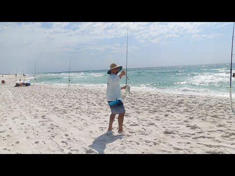 Video: Hoe Iemand Van De Florida Panhandle Kwaad Te Maken