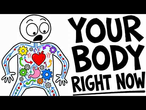 Your Body Is Doing WEIRD Things Right Now (And You Don't Notice)