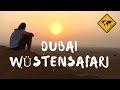 Dubai Wüstensafari - Impressionen eines unvergesslichen Abenteuers | unaufschiebbar.de